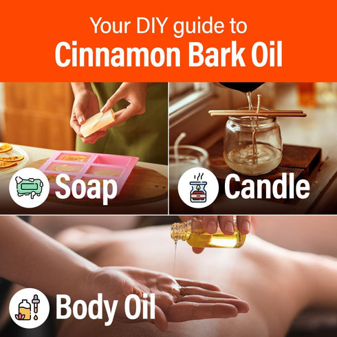 H’ana Cinnamon Bark Essential Oil for Diffuser, 100% Natural Oil for Skin, Aromatherapy, Bath Bombs & Candles - 1 fl oz