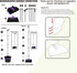 Upright Broom and Dustpan Set, 50-in Long Handle Self Cleaning for Home, Kitchen, Office Floors
