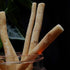 Pack 5 Sticks - of Natural Toothbrush Sticks with Vacuum Holder | Sewak Sticks for Teeth | Authentic Peelu Wood