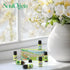 Set, Set Soulorigin Spring Fragrance Oils Essential Oil Gift for Diffuser, Spring Scent Diffuser Oil, Diffuser Scents