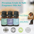 Set, Summer Sunset 6x10ml AmaKane Beach Fragrance Oil Essential Oils for Diffuser for Home, Candle Soap Making Scents