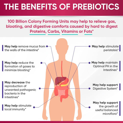 Wholesome Wellness Dr. Formulated Raw Probiotics for Women, 100 Billion CFUs Capsules with Prebiotics