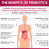 Wholesome Wellness Dr. Formulated Raw Probiotics for Women, 100 Billion CFUs Capsules with Prebiotics