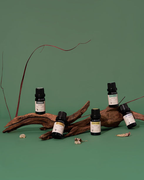Alizé 100% Natural & Pure Frankincense Essential Oil, 10ml - Essential Oils for Diffusers and Aromatherapy