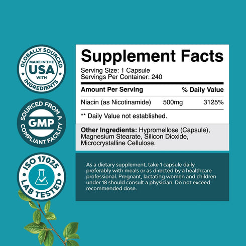 Vitamin B3 Niacinamide 500mg Capsules - Mitochondrial Energy and Potent Skin Supplement - AKA Vitamin B3 Niacin 500mg Flush Free and Nicotinamide 500mg - Flush Free Niacin Supplement - 240 Count