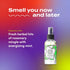 Indigo Wild Zum Mist Room & Body Spray - Aromatherapy Essential Oil Spray - Natural Body Mist & Room Spray -