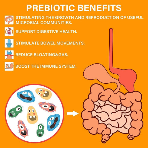 Probiotics with Prebiotics for Men and Women - 120 Capsules, 35 Strains Organic Probiotic 100 Billion CFU for Gut &