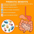 Probiotics with Prebiotics for Men and Women - 120 Capsules, 35 Strains Organic Probiotic 100 Billion CFU for Gut &