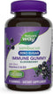 Nature’s Way Sambucus Zero Sugar Immune Gummies, 70 Gummies - Black Elderberry Extract, Vitamin C, D3, Zinc