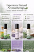 Set Southern Alora Essential Oils Roll On Peppermint, Lavender & Eucalyptus Aromatherapy for Relaxation and Stress