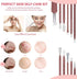 JPNK Blackhead Remover Tool Kit, 6 Pcs Comedones Extractor for Blemish Removal with Leather Bag (Pink)