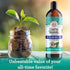 GuruNanda Coconut Oil Pulling, 16 fl oz, with 7 Essential Oils and Vitamin D3, E, K2 for Fresh Breath and Gum Health