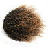 Short Afro Kinky Curly Ponytail Hair Piece - Synthetic Afro Kinky Curly Ponytail Extension for Women (Mix