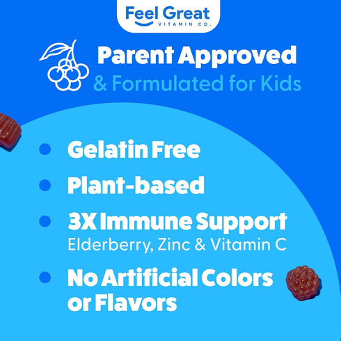 Feel Great Vitamin Co. Elderberry Gummies for Kids - Immune Support, 90 Gummies