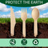 Set, 500 Pack (200 200 100 Compostable Wooden Cutlery Disposable Wood Utensils Spoons, Forks, Knives), Biodegradable