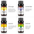 Set 14 Set-14 Pack, 10ml Essential Oils - Top Aromatherapy Oils Gift (Lemon, Eucalyptus, Lavender, Lemongrass, Sweet