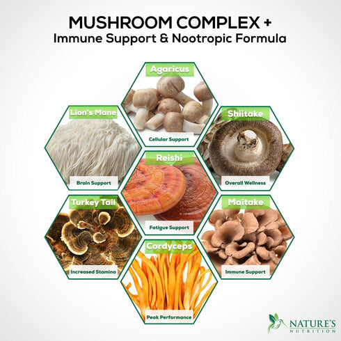 Mushroom Supplement - 10 Mushroom Complex Blend for Memory, Focus, Immune Health Support - 120 Count