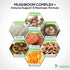 Mushroom Supplement - 10 Mushroom Complex Blend for Memory, Focus, Immune Health Support - 120 Count