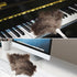 Ostrich Feather Duster Pole up to 72 Inch, Extendable Feather Duster for Home Cleaning Ceilings, Furniture, and Fans