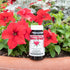 Kroeger Herb Candida Formula #1 Cleanse Supplement, 100 Capsules for Women & Men - Supports Yeast Balance