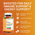 Premium Kids Multivitamin Gummies with Vitamin C & Zinc - Complete Daily Essential Vitamins for Immune & Energy Support