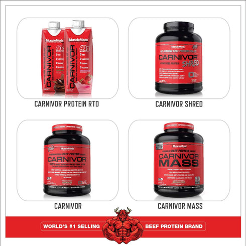 MuscleMeds Amino DECANATE, Intra, Post Workout Drink, Full Spectrum Amino Acid Complex, Fruit Punch, 30 Servings