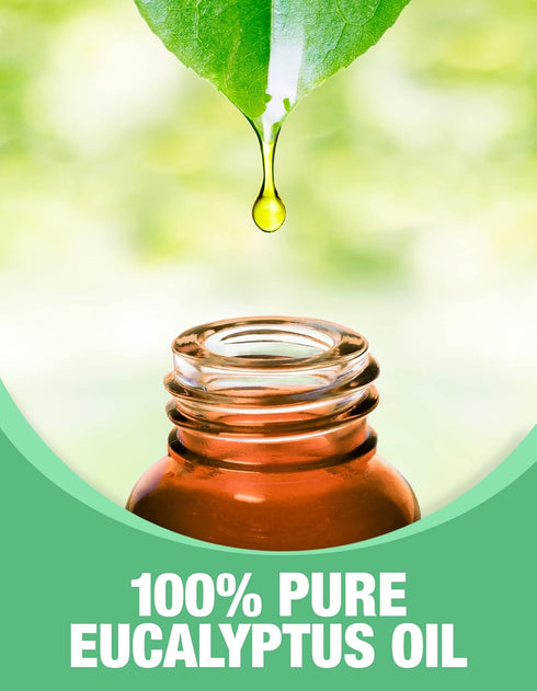 Ethereal Nature 100% Pure Eucalyptus Oil, 1 Fluid Ounce (30 ml)