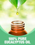 Ethereal Nature 100% Pure Eucalyptus Oil, 1 Fluid Ounce (30 ml)