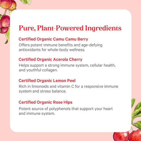 PURE SYNERGY Pure Radiance C – Organic Vitamin C Capsules, 100% Whole Food Supplement, 90 Capsules