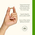 Swanson Hawthorn Berry - Antioxidant & Circulation Support (250 Capsules, 565 mg Each)