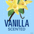 Secret Scent Expressions Antiperspirant Deodorant Invisible Solid, Va Va Vanilla, 2.6 Ounce (Pack of 2)