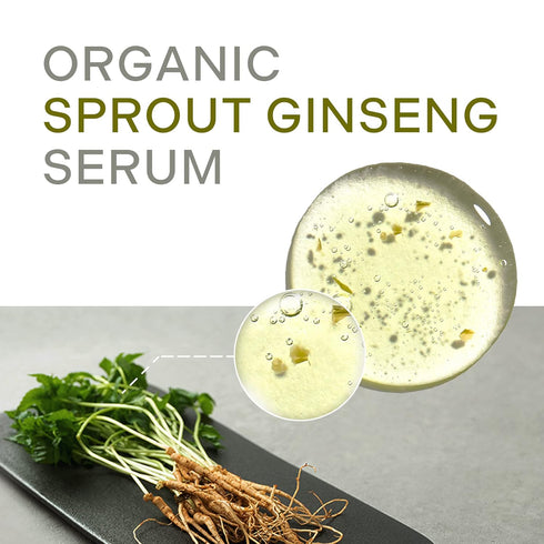 Plentyplant 65.7% Sprout Ginseng Serum 1.01 fl. oz - Korean Essence with Hyaluronic Acid, Peptides, Niacinamide