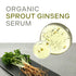Plentyplant 65.7% Sprout Ginseng Serum 1.01 fl. oz - Korean Essence with Hyaluronic Acid, Peptides, Niacinamide