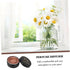 Mini Portable Wood Essential Oil Diffuser for Home & Car