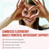 5 in 1 Elderberry Immune Support Supplement - Daily Boosters for Adults, 1000 mg Elderberry, Vitamin C, Zinc,