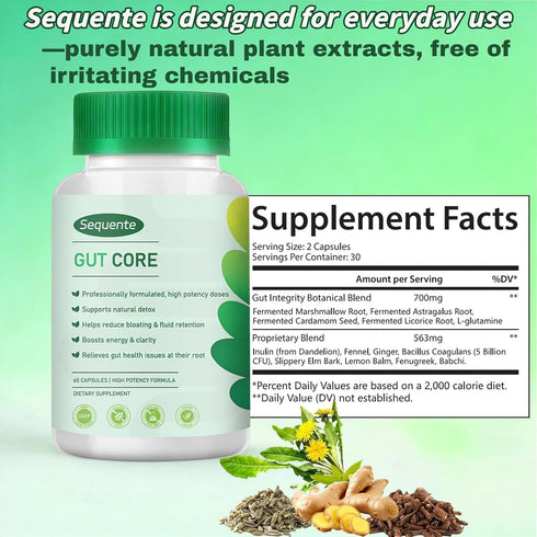Sequente 60 GutCore Advanced Digestive Comfort Capsules Vegan, Non-GMO Daily Digestive Support with Inulin, Fennel
