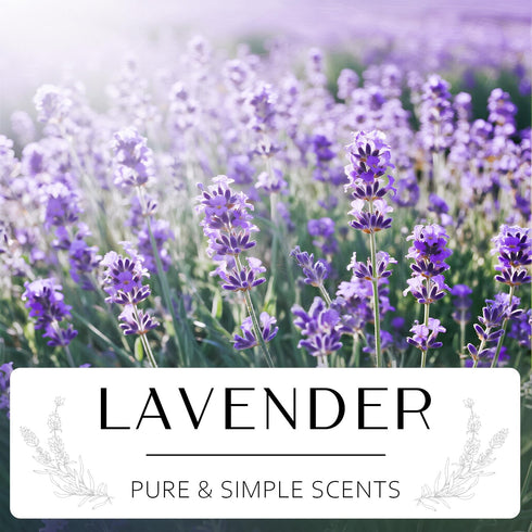 Set, Set, 7 oz) NORVENCE Lavender Candle, Scented Candles Gift Stress Relief Candles for Home, Premium Soy Candle