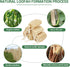 Natural Loofah Sponge Organic Exfoliating Body Scrubber, 6 Pack for Men and Women