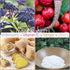 Smarter Elderberry Capsules + Vitamin C + Ginger & Zinc, Herbal Supplement, Powerful Black Elder Berry Extract, 60