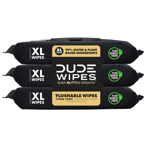 DUDE Wipes Flushable Wipes - 3 Pack, 144 Wipes - Shea Butter Smooth with Vitamin E & Aloe