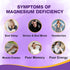 Magnesium Glycinate Gummies 1500mg for Adults with Ashwagandha & B6 - Organic Relaxation, Energy & Muscle Support - 60