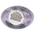 Nailtopia Plant-Based Chip Free Nail Lacquer, Non Toxic Long-Lasting Polish - Stay Inspired (Medium Purple With Gold