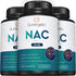 Premium NAC Supplement N-acetyl Cysteine, 750mg per Capsule, 90 Capsules, Supports Liver, Detox, Immune Health