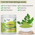 Moringa Leaf Powder, 8 oz, Freeze Dried & True Green 100% Pure Moringa Oleifera Leaf, Essential Amino Acids,