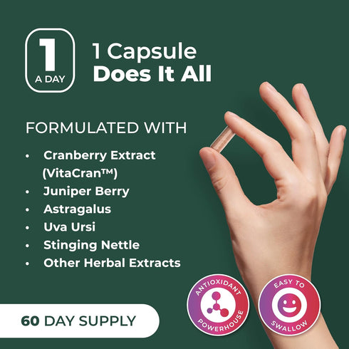 PurePremium Supplements - Kidney Support with Cranberry Extract & Astragalus - 60 Cranberry Pills for Urinary Tract