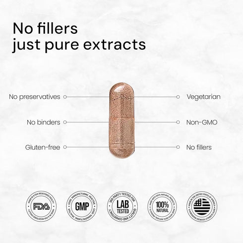 ACEWORKZ 10 Mushroom Complex Supplement - Lion’s Mane, Reishi, Cordyceps & More for Brain Health, Memory & Focus (90