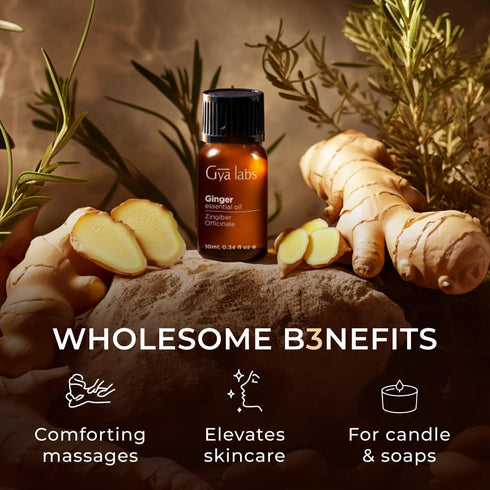 Gya Labs Ginger Essential Oil, 0.34 Fl Oz, for Massage, Diffuser, Hair, Skin, Body & Candle Making, Warming Scent