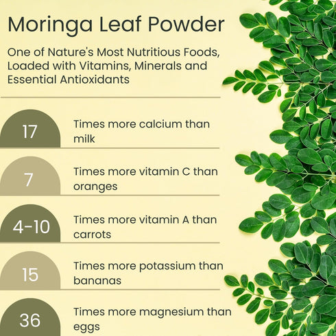 Moringa Leaf Powder, 8 oz, Freeze Dried & True Green 100% Pure Moringa Oleifera Leaf, Essential Amino Acids,