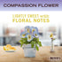 Set, 3 Mrs. MEYER'S Kitchen Dish Soap, Hand Soap, and Multi-Surface Cleaner, CT (Compassion Flower)