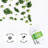 Sprout Living Organic Broccoli and Kale Sprout Mix, Freeze Dried Superfood Greens Powder, 100% Pure, Vegan, Non-GMO,